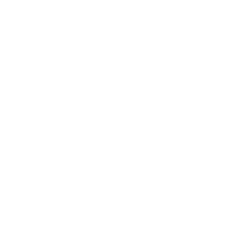 CSS CSS